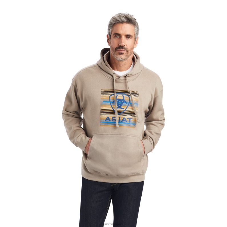 Ariat tapas hombres sudadera con motivo sarape P0RPZ1441 brezo atigrado