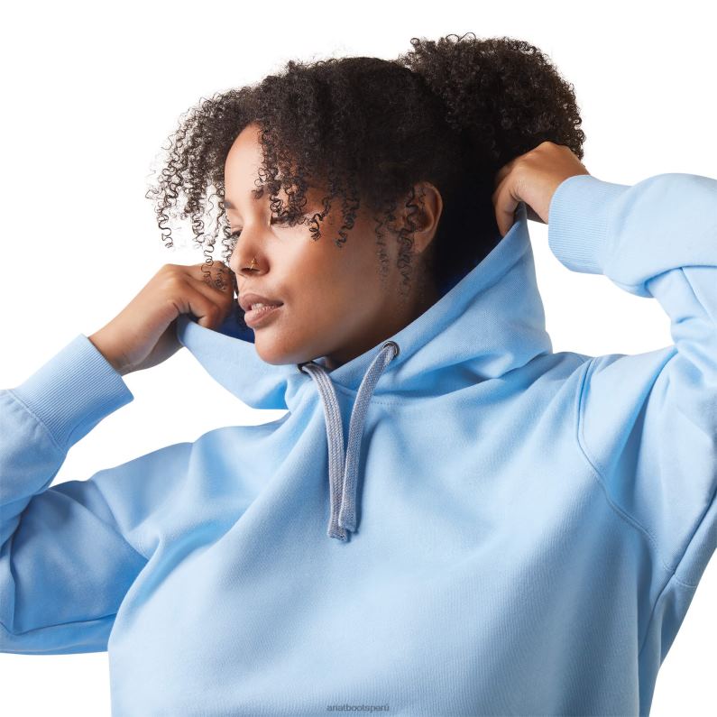 Ariat tapas mujer sudadera con capucha y gráfico de barras de refuerzo P0RPZ3379 canal holandés brezo/anochecer